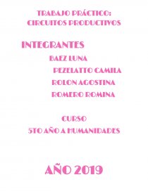 TRABAJO PRÁCTICO: CIRCUITOS PRODUCTIVOS. Página 1