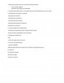 Requisitos presentados para su inscripción (aduana nacional)