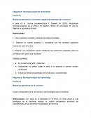 Neuropsicología del aprendizaje Practica 1