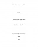 Obtención de extracto de mandarina Actividad N°2