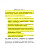 ENSAYO PARTE II LA META