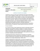 Agricultura en Colombia