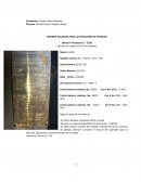 INFORME BALANCÍN PARA LA EXTRACCIÓN DE PETROLEO