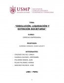 Disolución, liquidación y extinción societaria