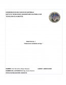 PRACTICA No. 1 “Elaboración de Bebida de Soja ”