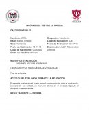 INFORME DEL TEST DE LA FAMILIA