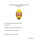 Investigacion Economica del Conocimiento