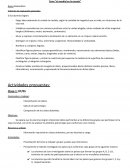 Secuencia: el mundial en la escuela