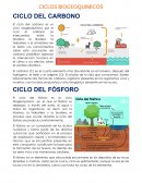 CICLOS BIOGEOQUIMICOS