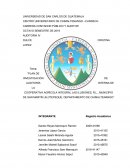 Plan de investigación de auditoría interna de la Cooperativa Agrícola Integral Las Ilusiones, R.L.