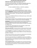 Las bambas problemática nacional