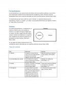 Tarea Torsión y Planos Oblicuos Ing. de Materiales (último tarea)