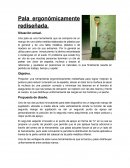 PALA ERGONOMICAMENTE REDISEÑADA