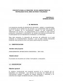PROYECTO PARA LA CREACION DE UN LABORATORIO DE METROLOGIA EN EL AREA DE MASA Y BALANZAS