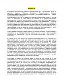 Ensayo de ética. Responsabilidad Profesional