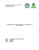 La importancia que tiene la tierras en el ecosistema y la agricultura
