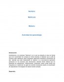 Sistema de corrupcion la empresa “Delicioso” e