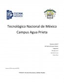 De las Infracciones y Delitos Fiscales