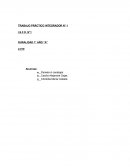 TRABAJO PRÁCTICO INTEGRADOR N° 1 I.S.F.D. N°1 RURALIDAD 1° AÑO “A”