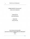 INFORME DIAGNOSTICO “Distribuidora LAP”