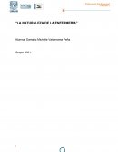 La naturaleza de la enfermeria