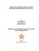 ANÁLISIS FÍSICO QUÍMICO Y PRODUCCIÓN DE PULPA DE FRUTA