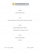 SERVICIOS AEROPORTUARIOS INTEGRASODOS AVIANCA HOLDINGS SA