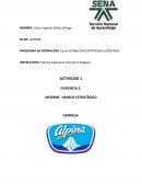 Informe Marco Estratégico Actividad 1 Evidencia 2