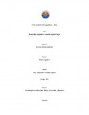 Desarrollo cognitivo y motriz según Piaget