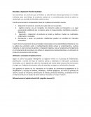 Reciclado y disposición final del neumático