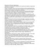 Elementos de la Estructura Organizacional