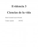 Ciencias de la vida evidencia 3