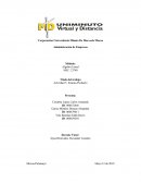 Actividad 5: Insumo-Producto Empresa Surtí Aseo