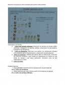 Anatomia de las plantas