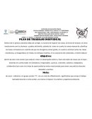 Plan de trabajo individual