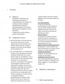 CALENTAMIENTO POR INDUCCIÓN