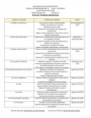 Plan de trabajo individual