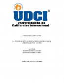 LA INVESTIGACIÓN Y SU IMPLICACIÓN EN LOS PROCESOS DE APRENDIZAJE EN EL ALUMNO