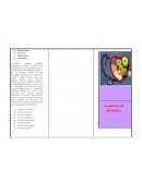 Actividad 1 alimentación saludable