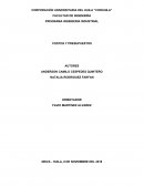 PROGRAMA INGENIERIA INDUSTRIAL COSTOS Y PRESUPUESTOS