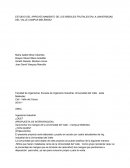 Proyecto social cali