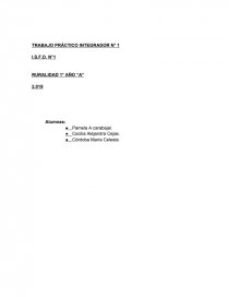 TRABAJO PRÁCTICO INTEGRADOR N° 1. Página 1