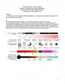Examen parcial 1. Visión artificial