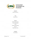 Informe Flujo de efectivo