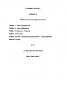 DINAMICA SOCIAL Familias monoparentales y homoparentales