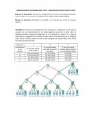 Actividad Configuración DNS - DHCP