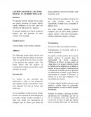 LAS DOS CARAS DE LA LECTURA DIGITAL Y LAS REDES SOCIALES