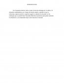 Estrategias de la oferta y la demanda comparándolas con el juego del domino