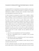 Descripción De La Plataforma RECON Y El Video Realizado Según Los Criterios De Esta