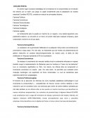 ANALISIS PESTEL CENTRO ESTETICO VANIDADES